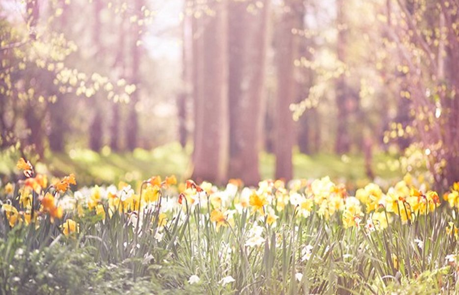 Find the Energy to Enjoy the Spring | Knoxville, TN Walk-In Clinic