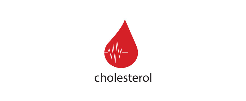 What Does Cholesterol Do?