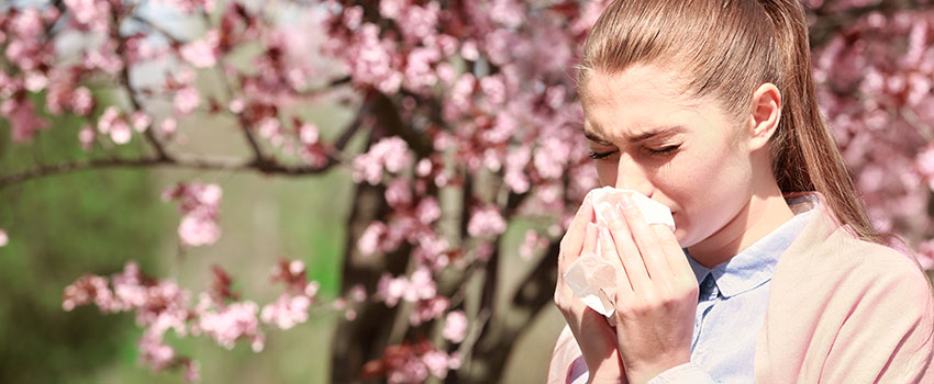 Why Do I Deal With Allergies in the Spring?
