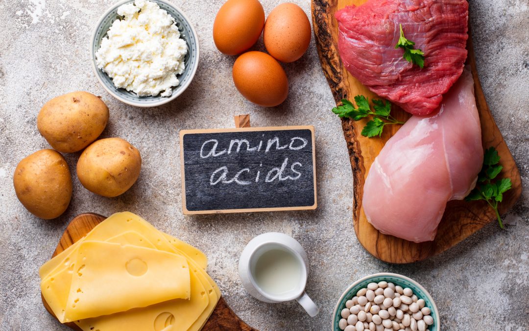 The Importance of Amino Acids 